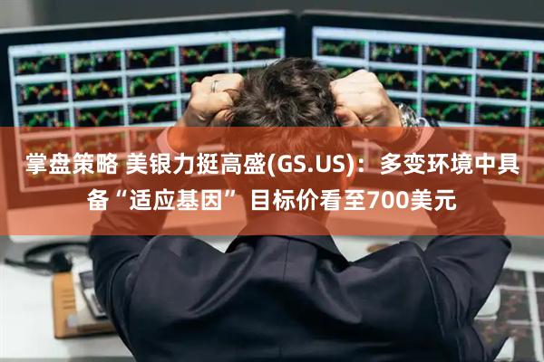 掌盘策略 美银力挺高盛(GS.US)：多变环境中具备“适应基因” 目标价看至700美元
