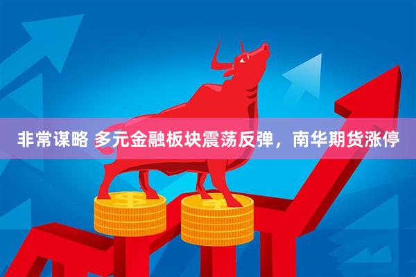 非常谋略 多元金融板块震荡反弹，南华期货涨停