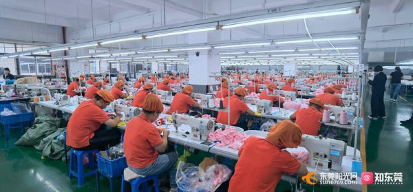 钱龙配资 喜迎十五运丨吉祥物“萌宠”从东莞走向全国 潮玩承载湾区活力